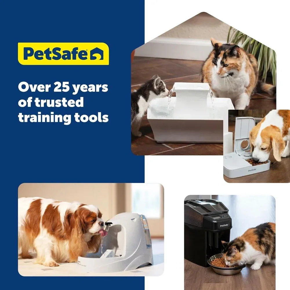 PetSafe 2 Meal Automatic Pet Feeder for Dogs and Cats - Image 2