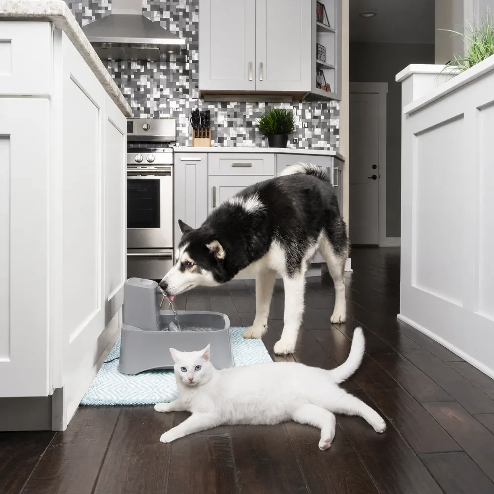PetSafe Drinkwell Automatic Flowing Water Pet Fountain for Dogs and Cats - Image 2