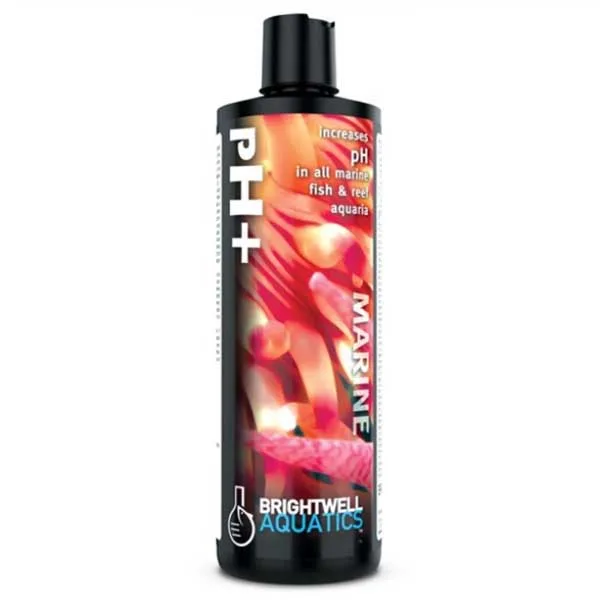 pH+ Liquid pH Increaser (250 mL) - Brightwell
