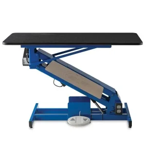 PL LwRdr Fxd Top Elctrc Tbl 46x24 Blu