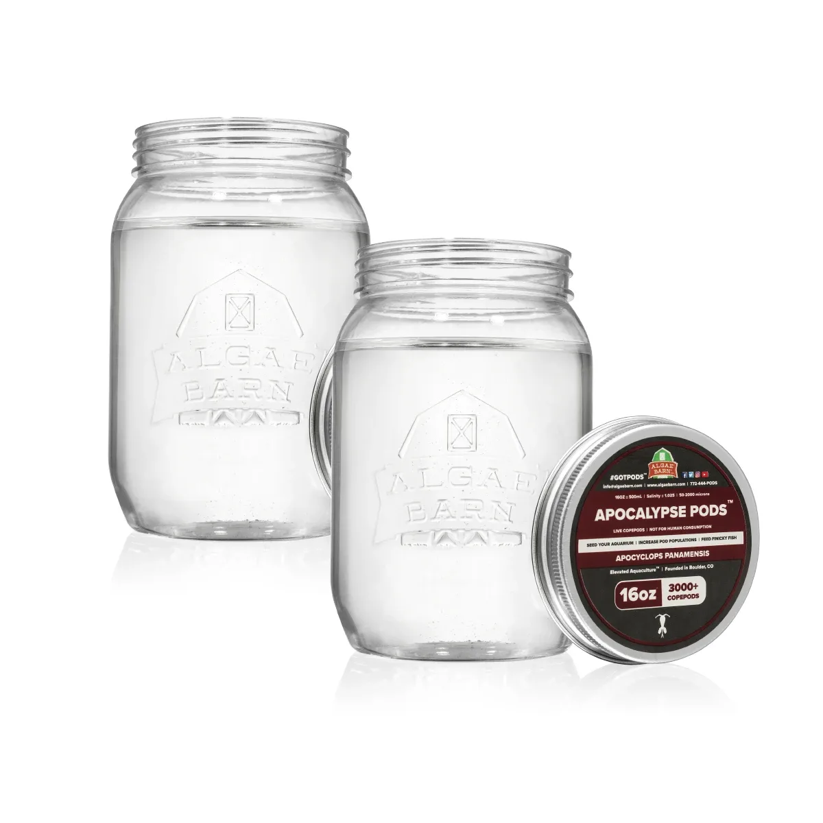 Pods Apocalypse 6000+ (32 oz) Live Copepods (Apocyclops Panamensis) - Algae Barn