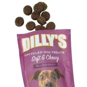 Poochie Butter Dilly's Blueberry Soft & Chewy Dog Treats - Delicious Blueberry Dog Treats for Happy Pups