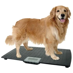 Precision Digital Pet Scale L