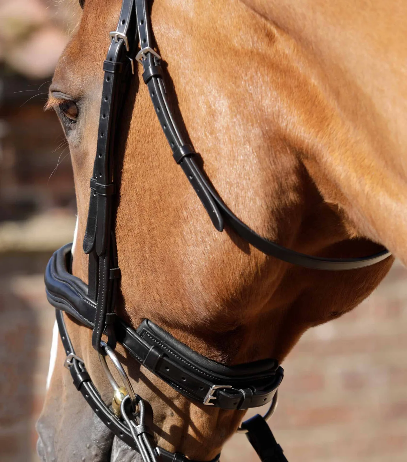 Premier Equine Throatlash Black - Image 2