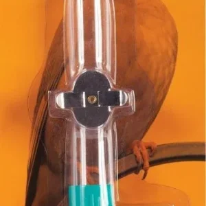 Prevue Birdie Basics Glass Fountain Feeder