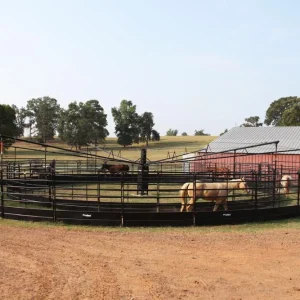 Priefert Panel Walker 70' 6 Horse Solid Bottom Touchscreen