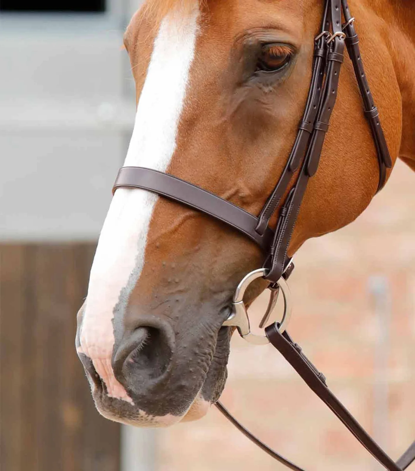 Primo Hunter Cavesson Noseband Brown - Image 2