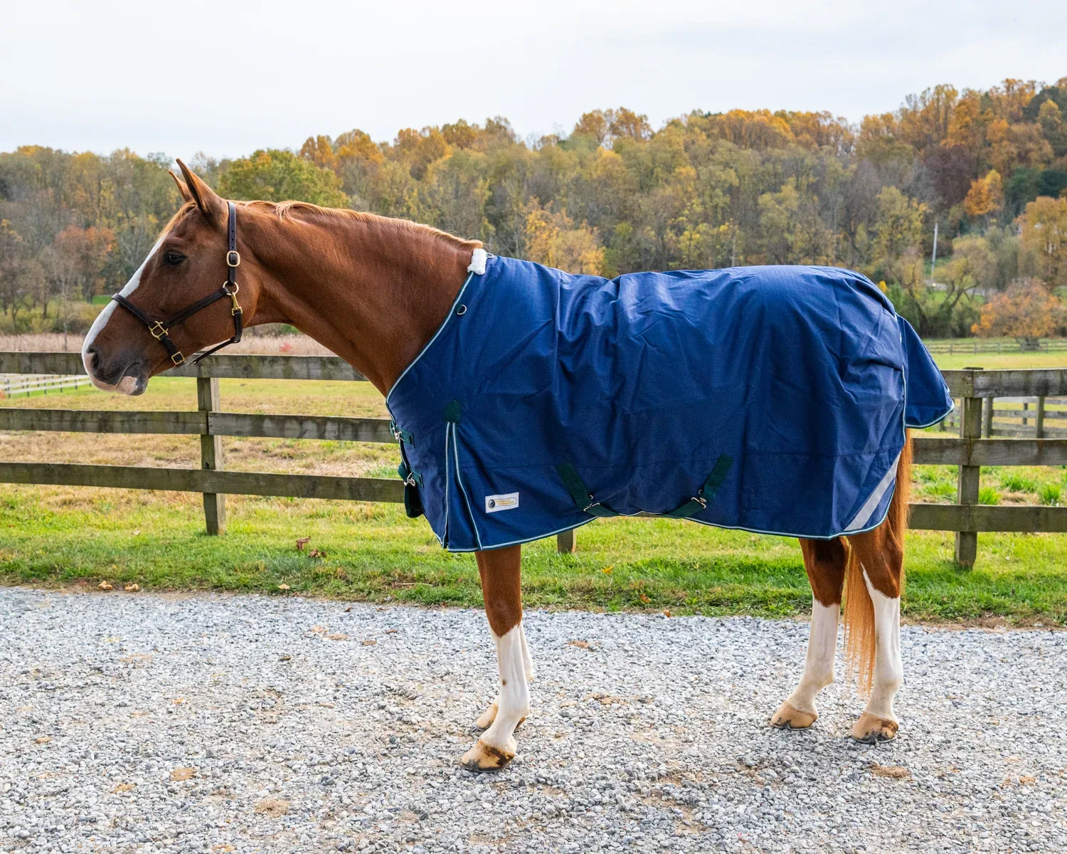 Pro-Trainer 1200D Medium-Weight Turnout Blanket with Detachable Neck Cover - Image 2