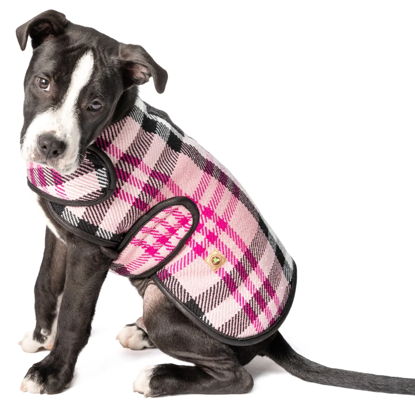 Pink Plaid Blanket Dog Coat