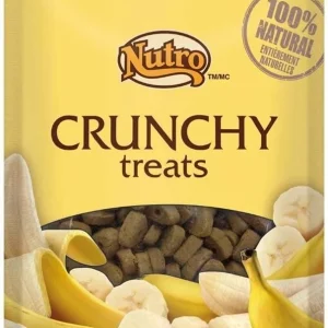 Nutro Banana Crunchy Biscuit Dog Treats - 10 oz - Case of 6