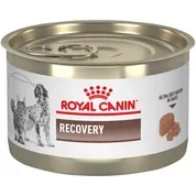 Royal Canin Veterinary Diet Recovery Ultra Soft Mousse in Sauce Wet Cat & Dog Food