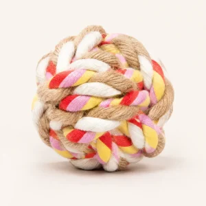 Skatrs Ball Toy for Cats