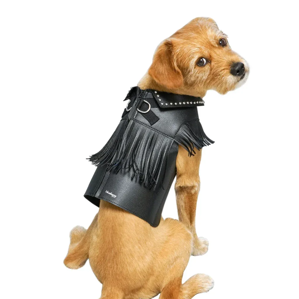 Western Fringed Style Harness Jacket in Black