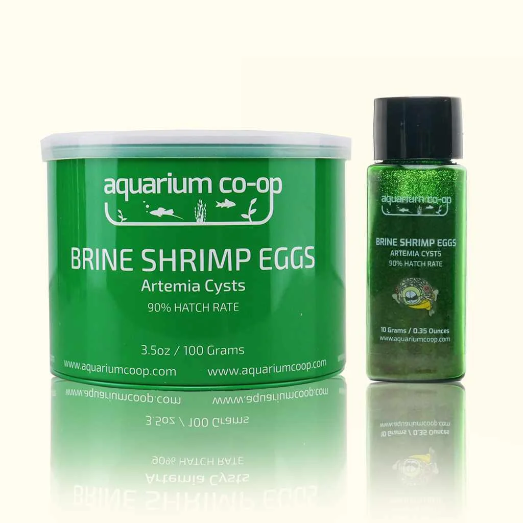 Aquarium Co-Op Brine Shrimp Eggs
