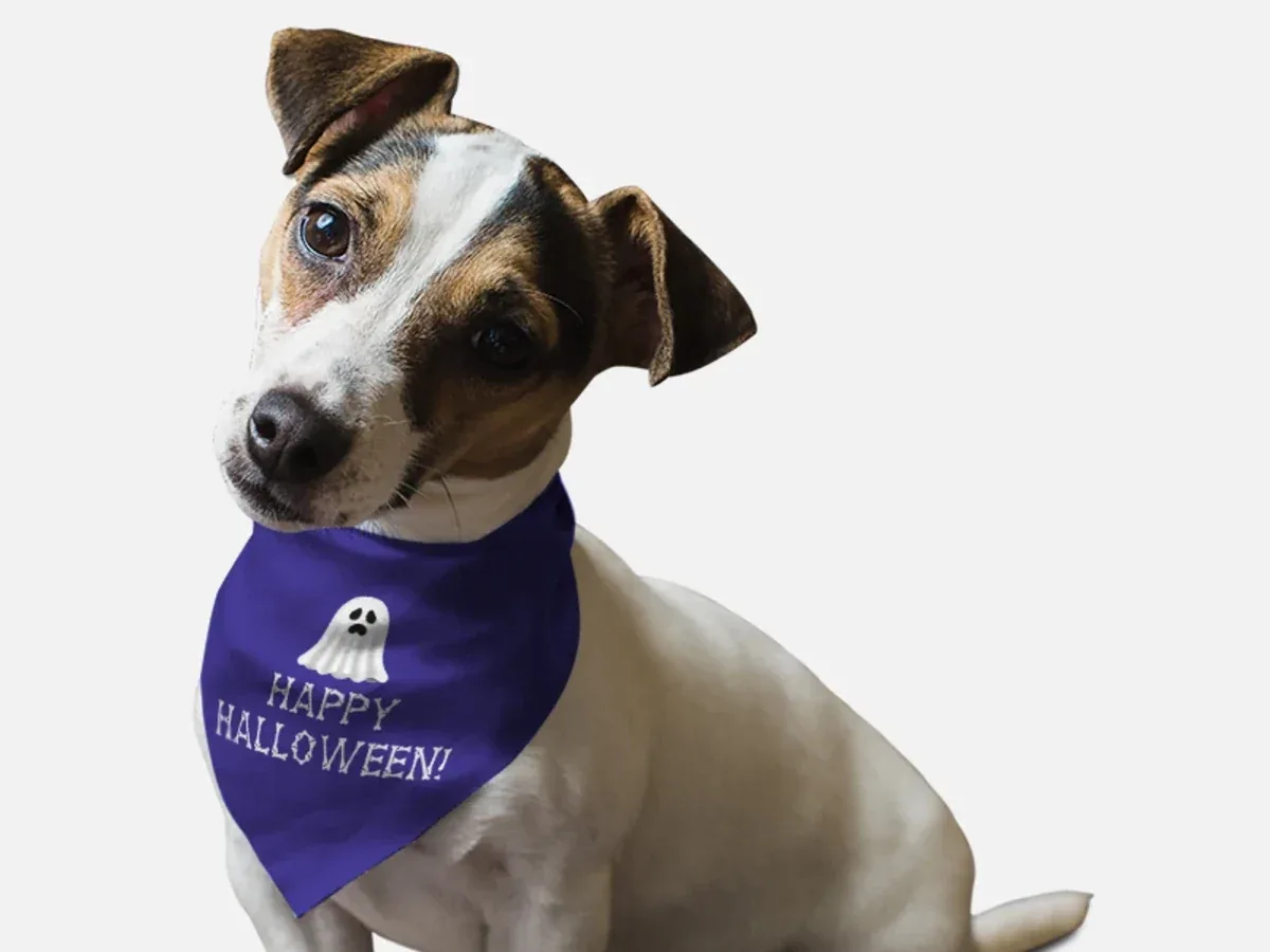 Happy Halloween! - Image 2