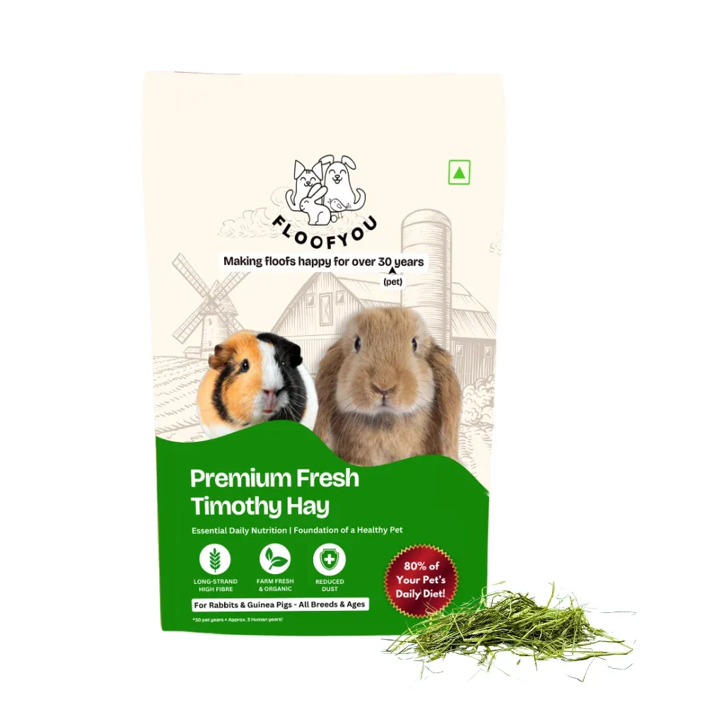 FloofYou Premium Timothy Hay for Rabbits, Guinea Pigs and Hamsters