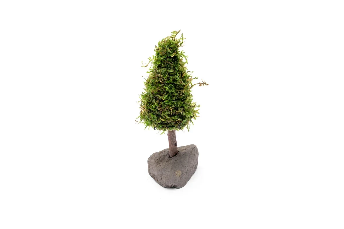 Christmas Moss Tree