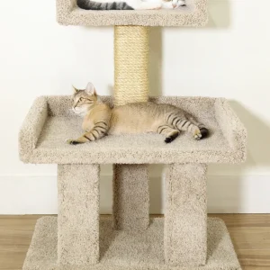 XL Cat Perch with Extra-Wide Platform for Large Cats