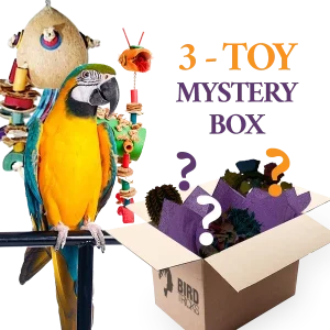 Premium All-Natural Parrot Toys (Bundle of 3)
