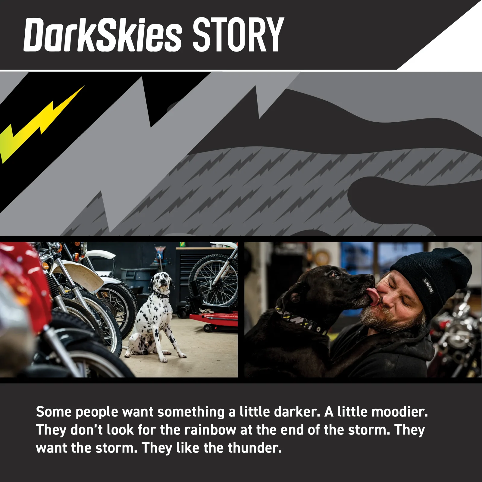 DarkSkies Wide Dog Collar - Image 2