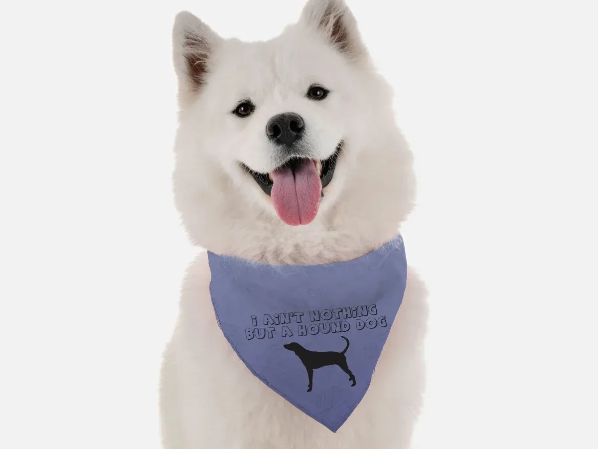 Nothing but a Hound Dog Bandana by BanDoggie - Image 2