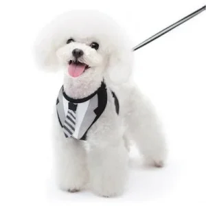 EasyGo Necktie Step In Harness