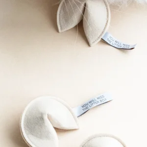 FORTUNE COOKIE CATNIP TOY