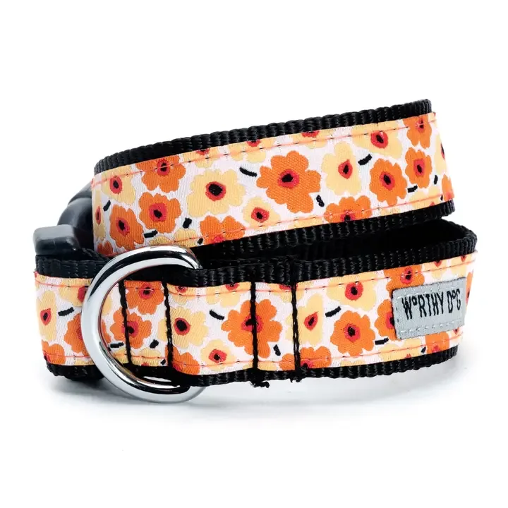 Spring Fleurs Yellow Collar & Lead