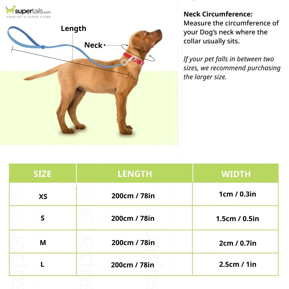 Max & Molly Ducklings Multi-Function Leash for Dogs (Blue) - Image 2