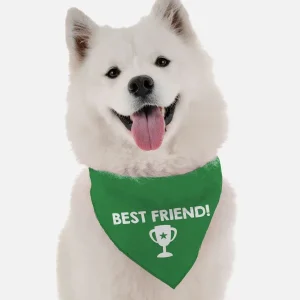 Best Friend Catchphrase Dog Bandana by BanDoggie