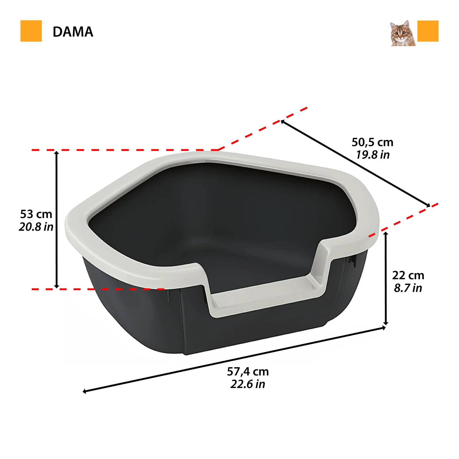 DAMA - Image 2