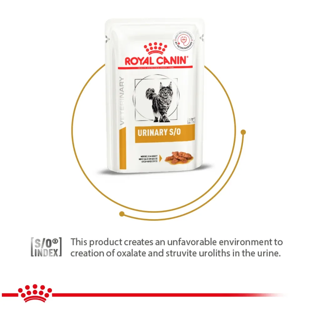 Royal Canin Veterinary Diet Urinary S/O Cat Chicken Wet Food - Image 2