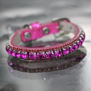 Inner Harmony Pet Collar - Crown Chakra Inspired