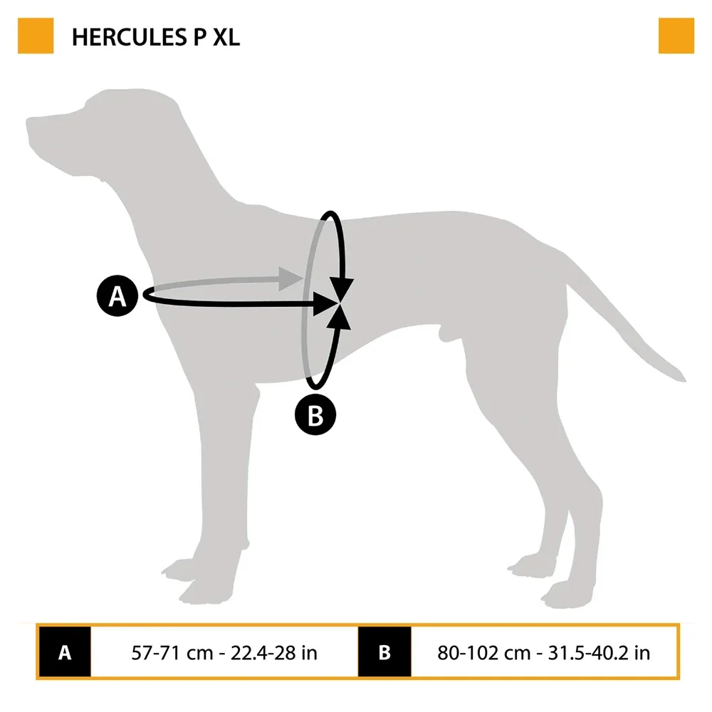 HERCULES P XL - Image 2