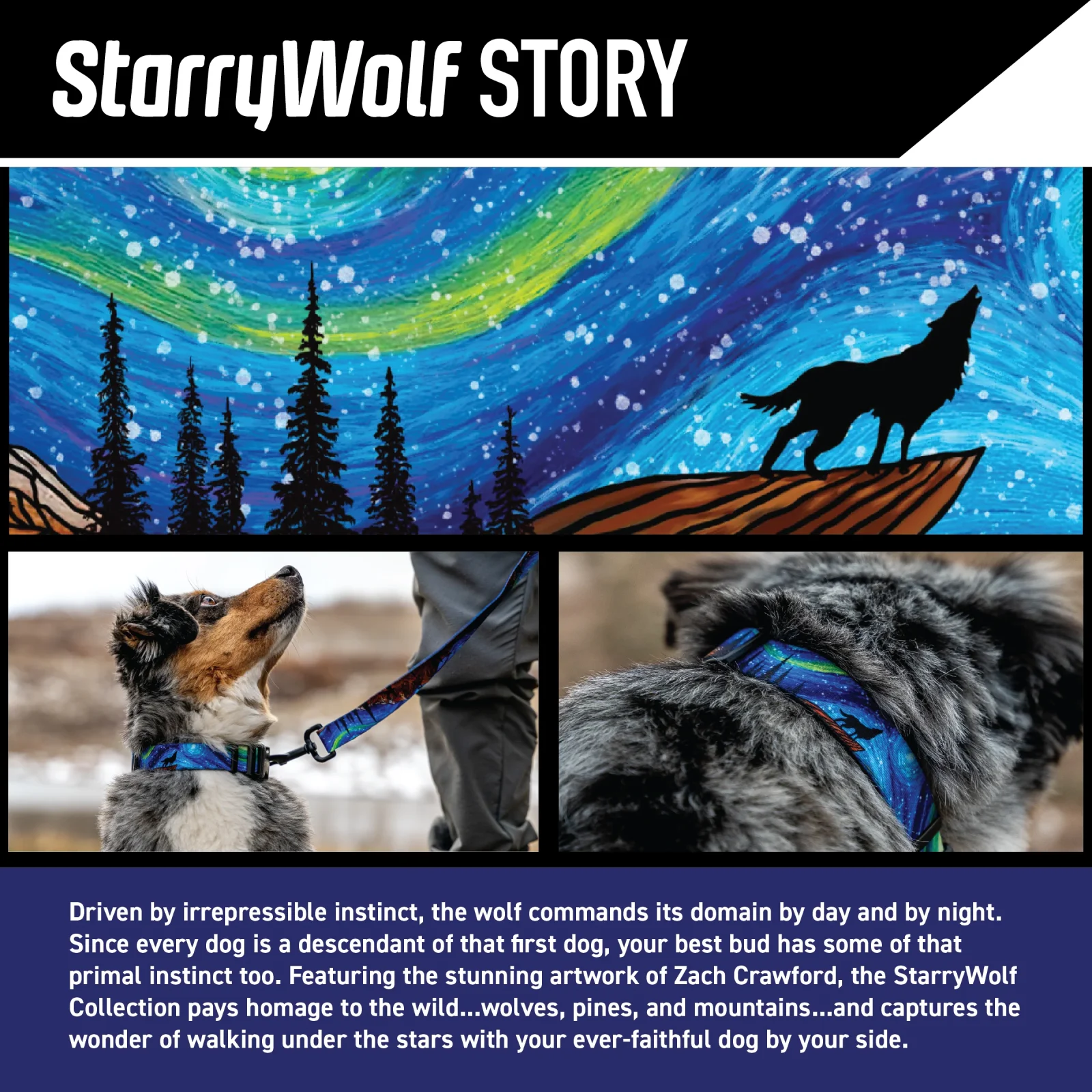 StarryWolf Wide Dog Collar - Image 2