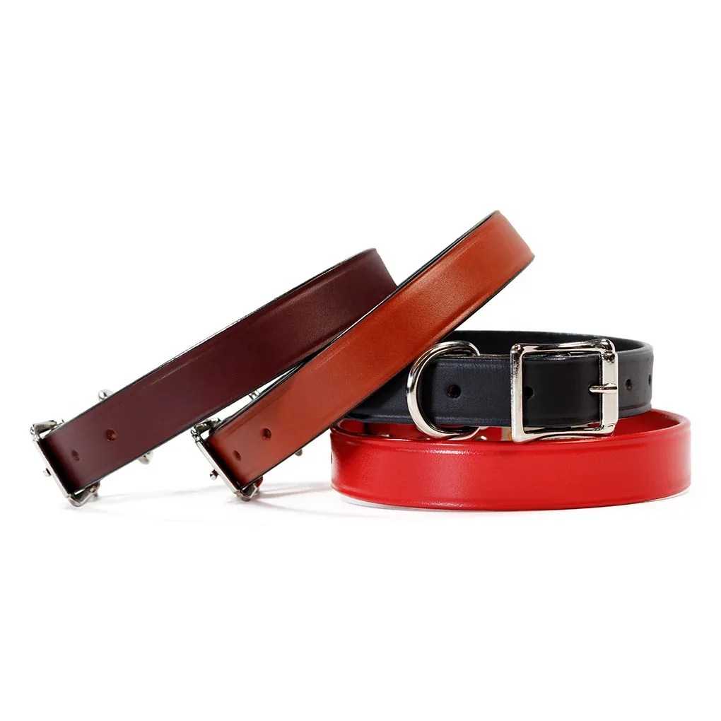 AUBURN Town Collar in Many Colors