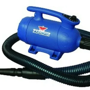 XPower B-24 Force Dryer
