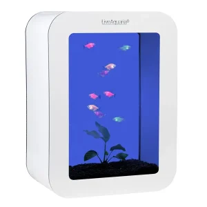 LiveAquaria® Cubi Aquarium