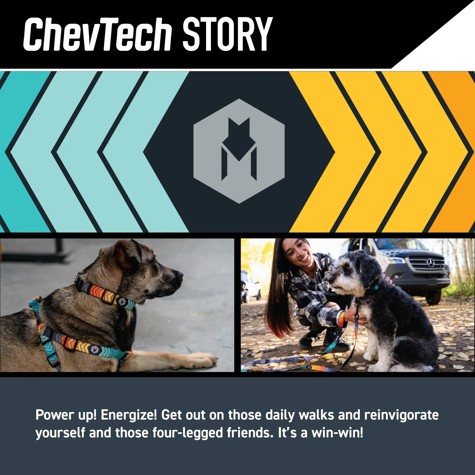 ChevTech Dog Collar - Image 2