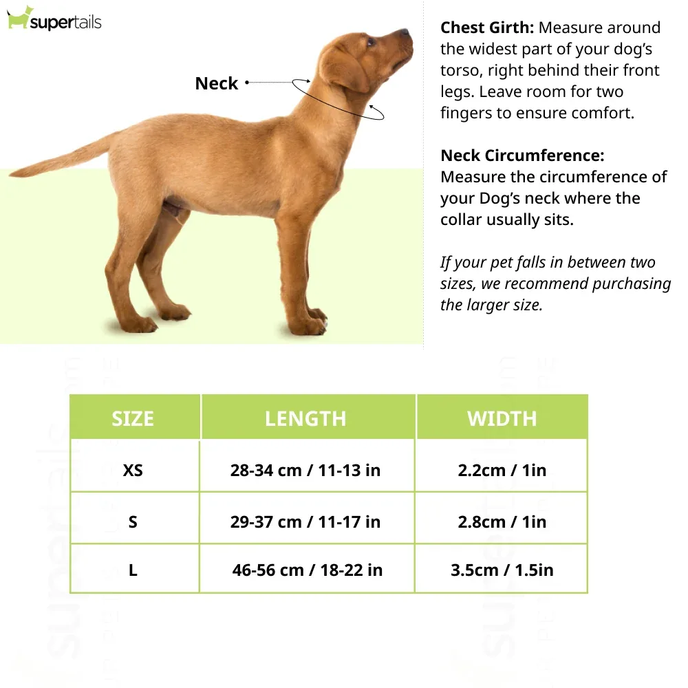 Hunter Hella Reflect Collar for Dogs (Black) - Image 2