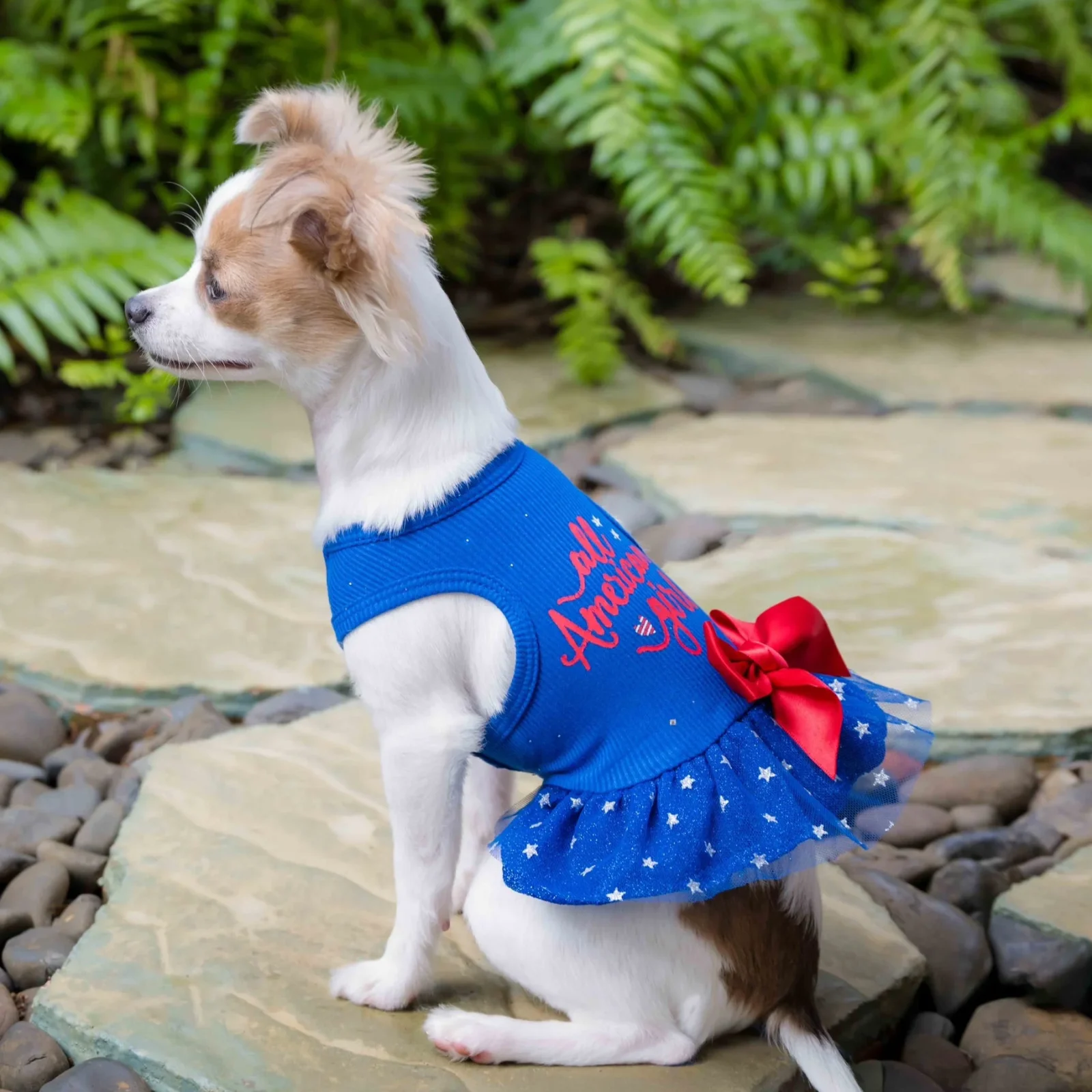 All American Girl Dress - Image 2