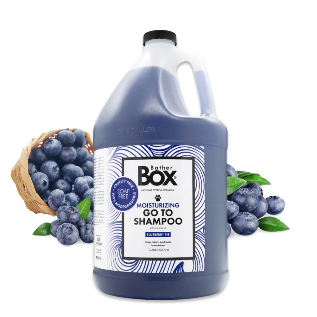 BatherBox Go To Shampoo, Blueberry Pie, 1 Gallon