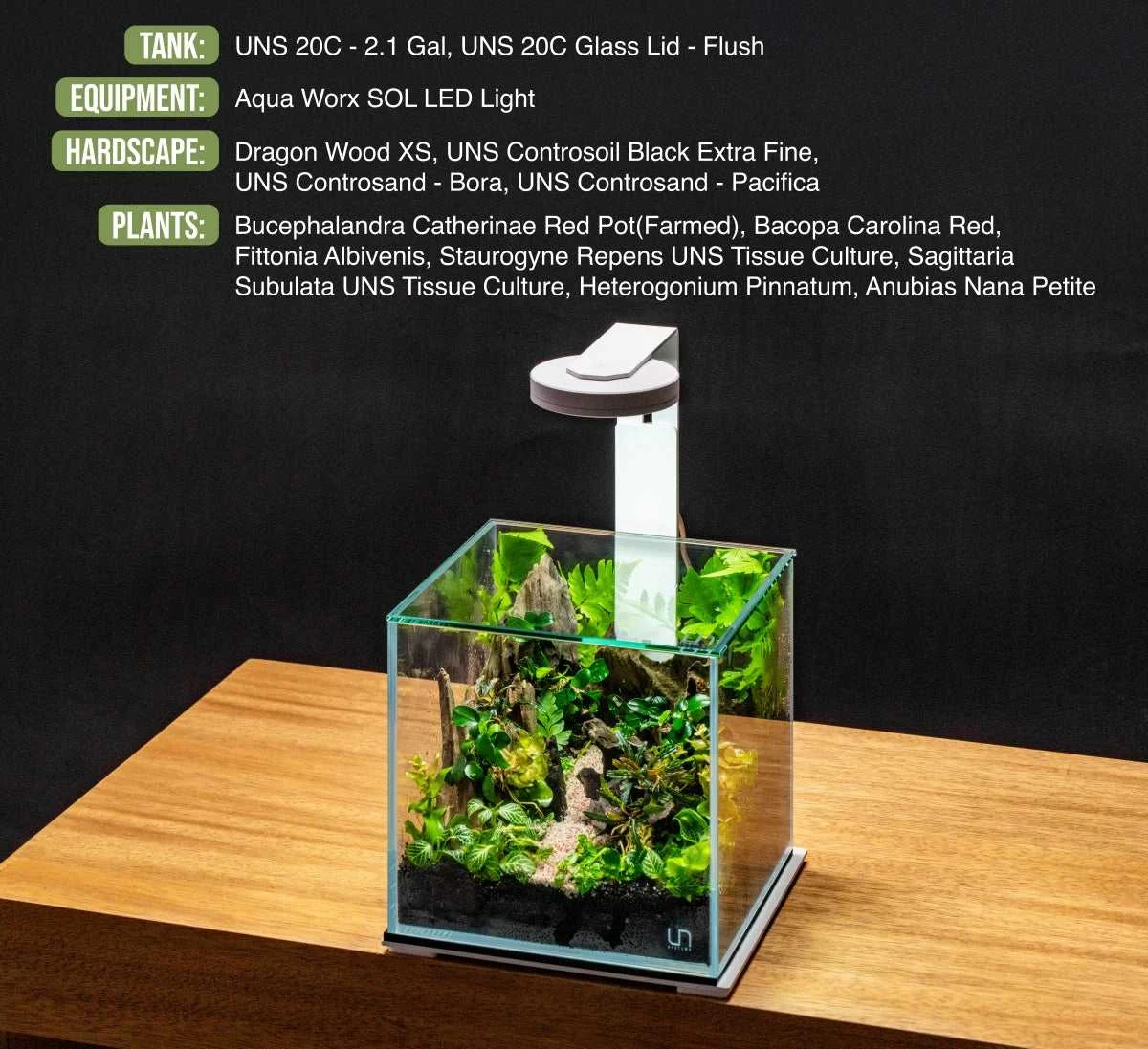UNS 20C - 2.1 Gallon Ultra Clear Rimless Aquarium - Image 2