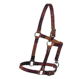 Weanling Halter