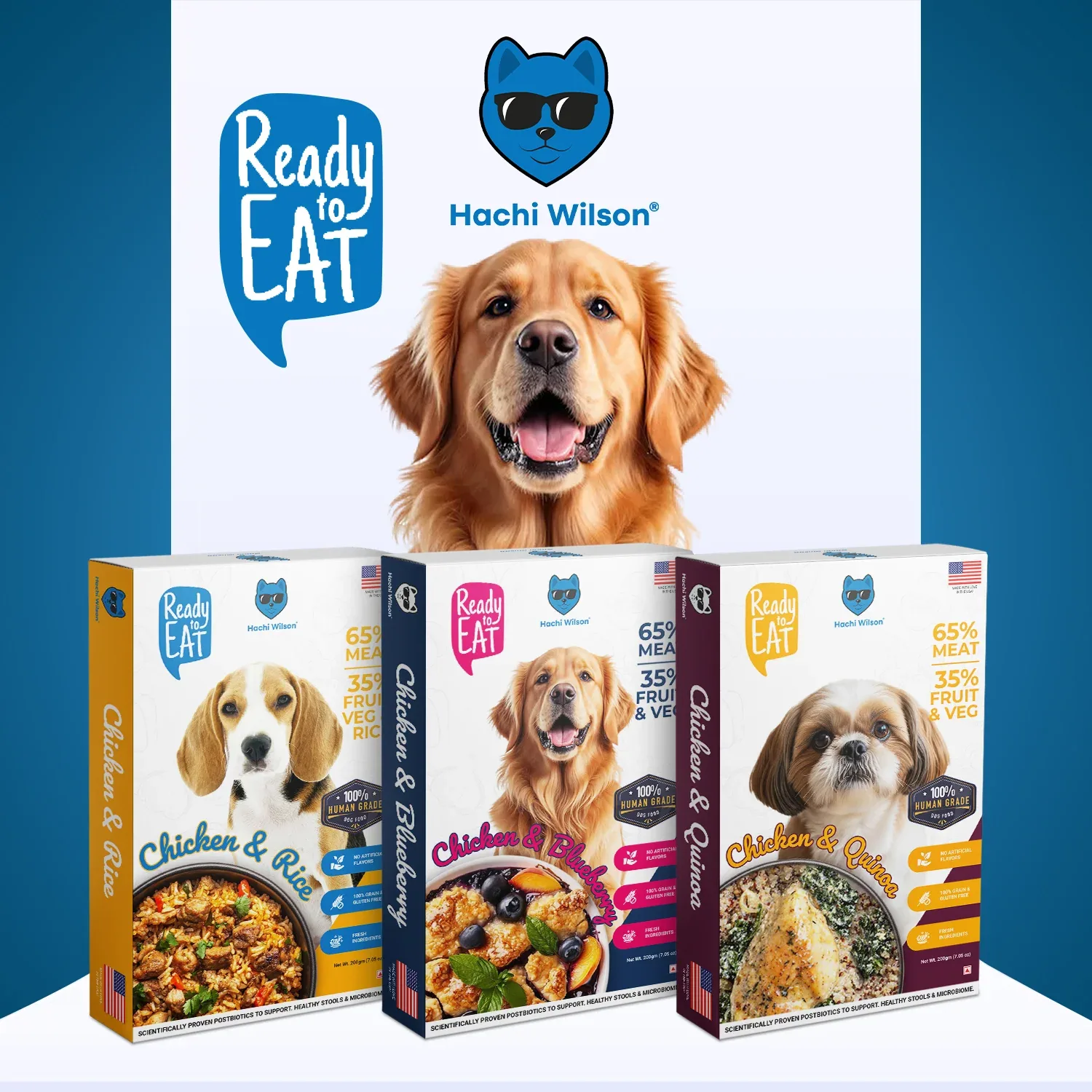 Hachi Wilson Chicken and Blueberry Ready to Eat Fresh & Wet Food for Dogs and Puppies - Image 2