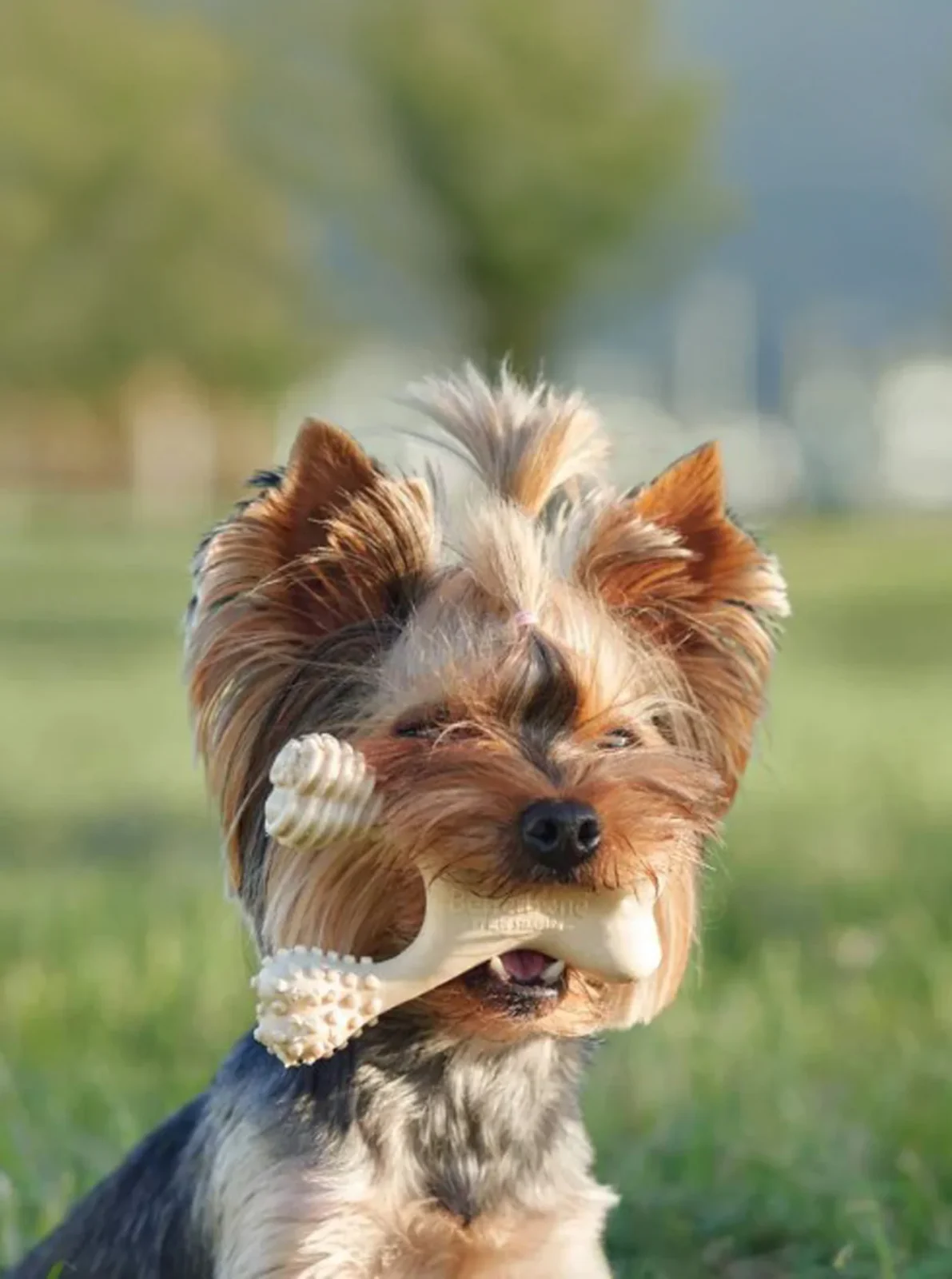 BETTERBONE SOFT DOG CHEW TOY - Image 2