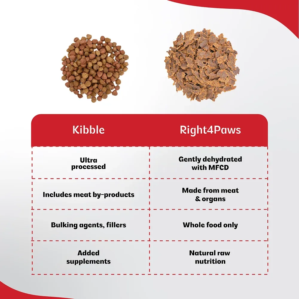 Right4Paws Ultimate Diet Toy & Small Adult Dog Dry Food - Image 2