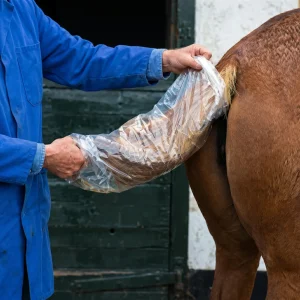 Plastic Tail Bags