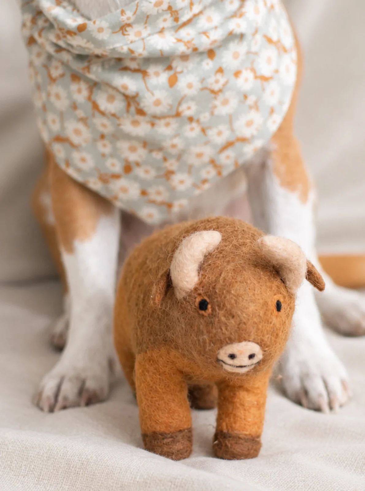 AMERICAN BISON WOOL DOG TOY - Image 2