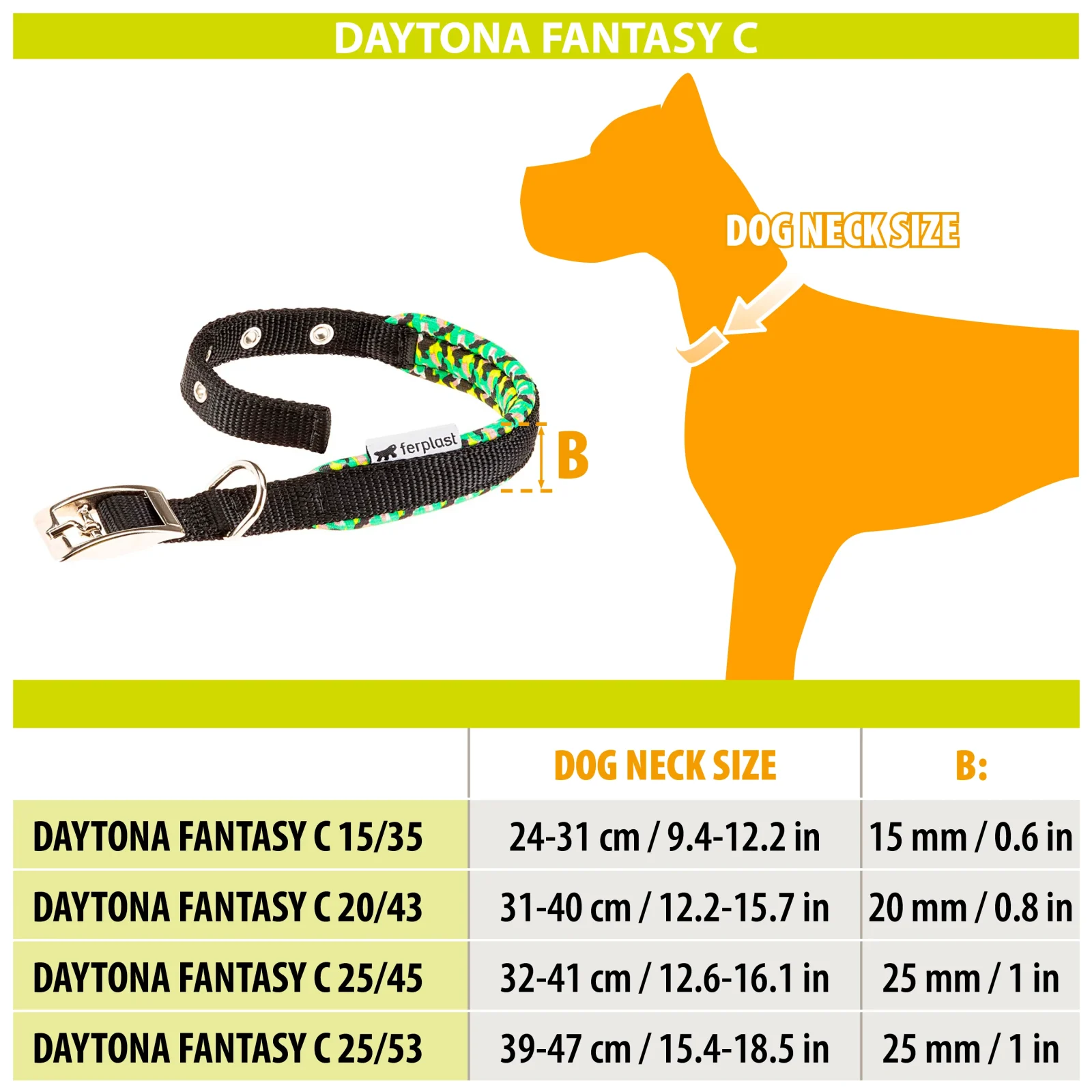 DAYTONA FANTASY C - Image 2